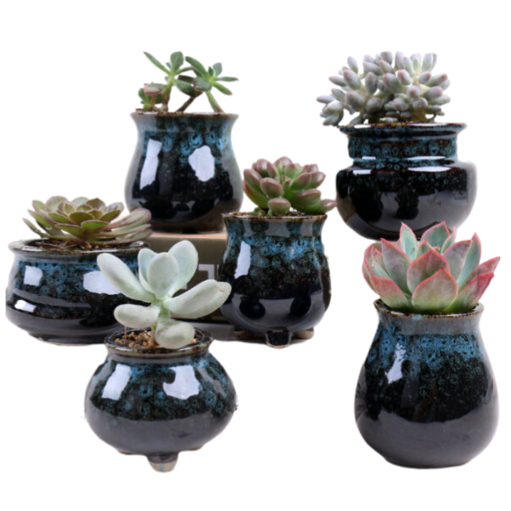 Tiny Pots For Plants | Set Of 6